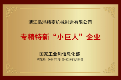 国家专精特新“小巨人”